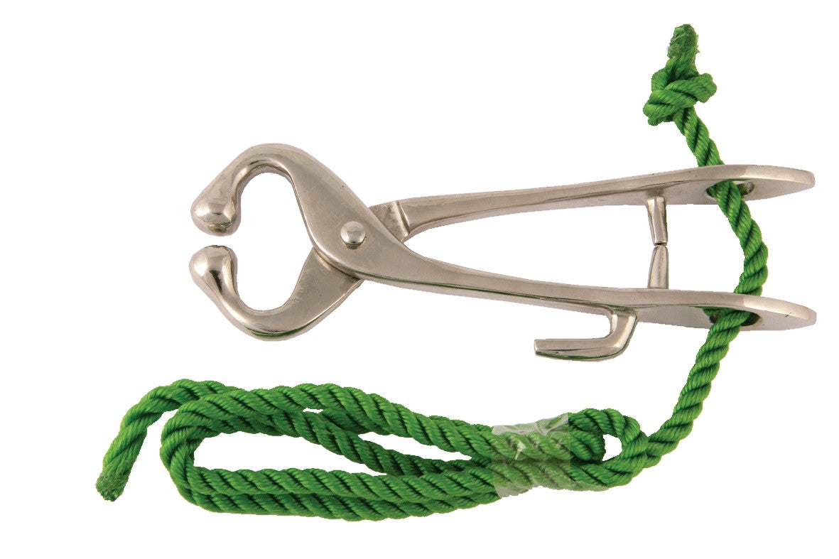 BULLHOLDER WITH ROPE (ECONOMY)