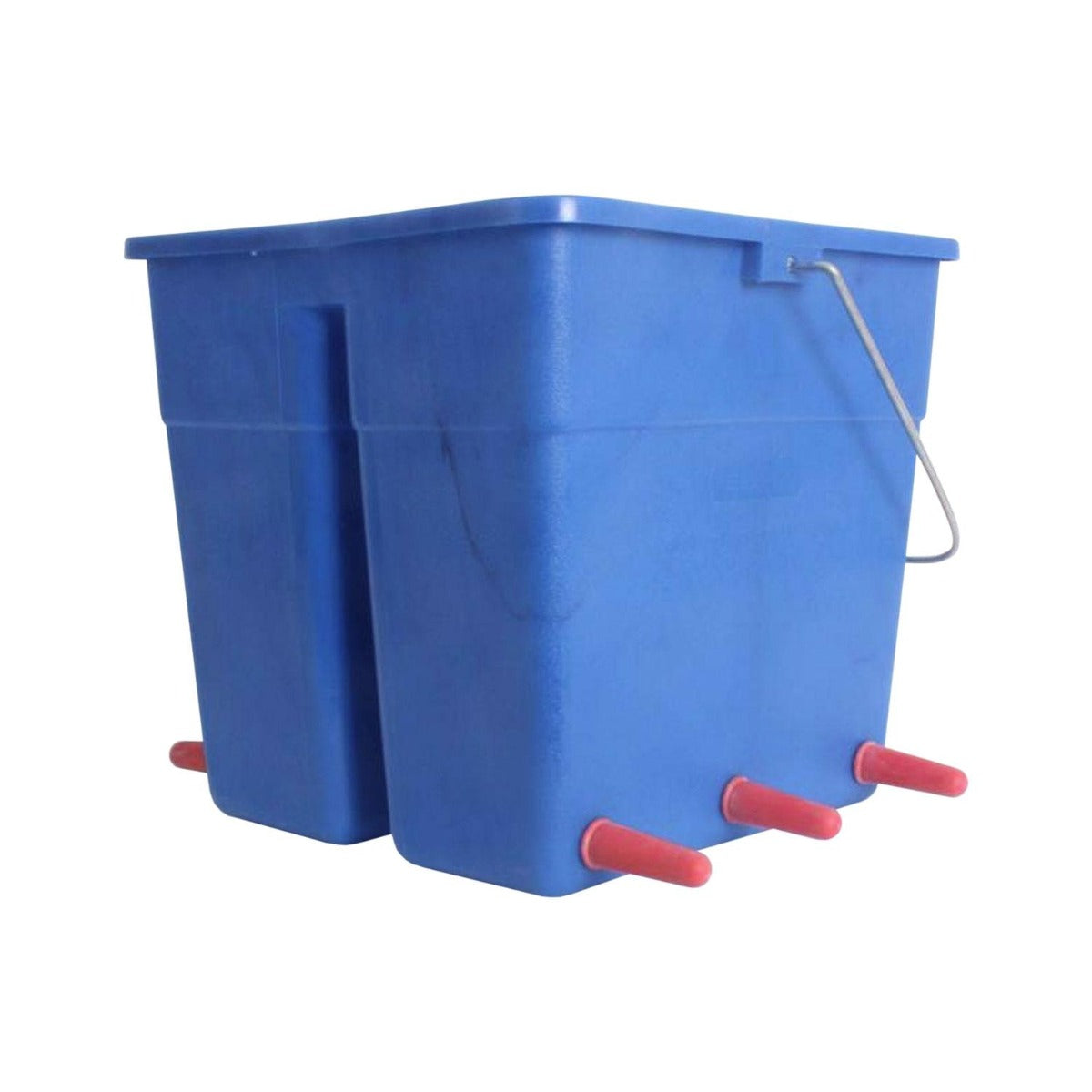 Lamb Feeder Bucket (6 Teat)