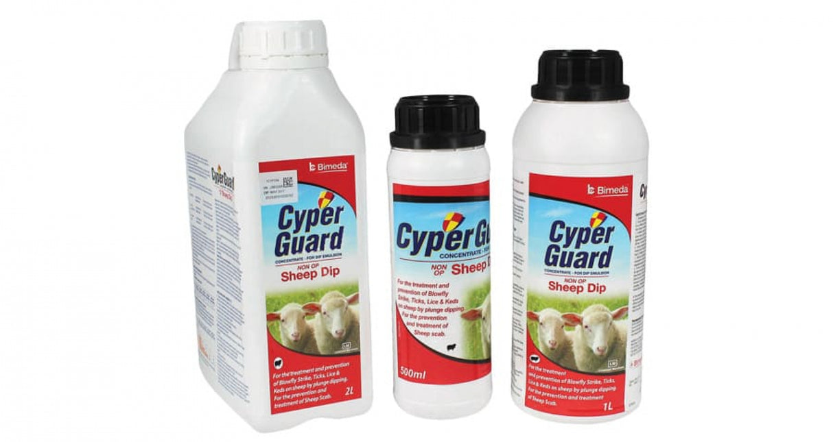 CYPER GUARD