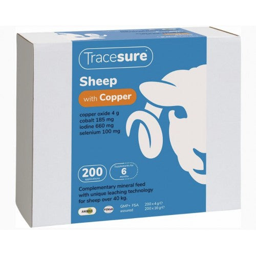 TRACESURE SHEEP WITH COPPER