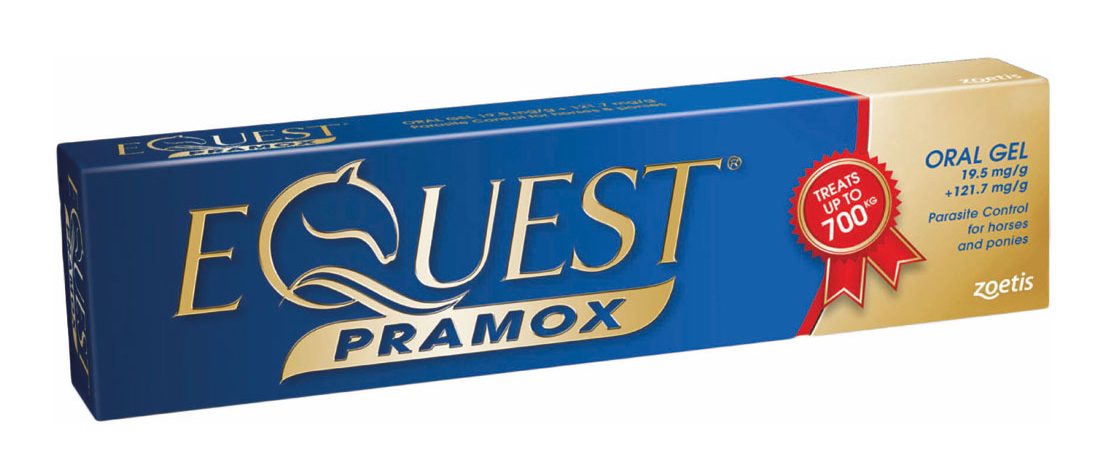 EQUEST PRAMOX SYRINGE