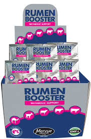 RUMEN BOOSTER SACHETS 1'S