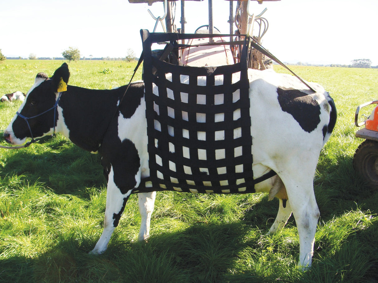 SHOOF COW LIFTEASE COMPLETE