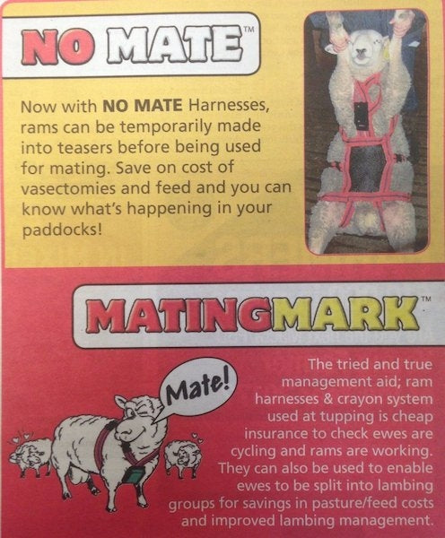 MATINGMARK NO MATE HARNESS