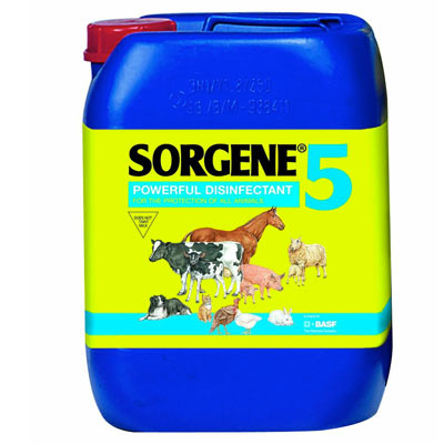 SORGENE 5 5L