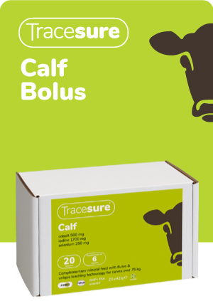 TRACESURE CALF  BOLUSES 20 PACK