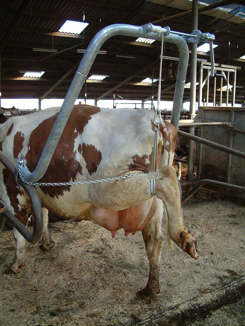 Hoofcare Frame Vink