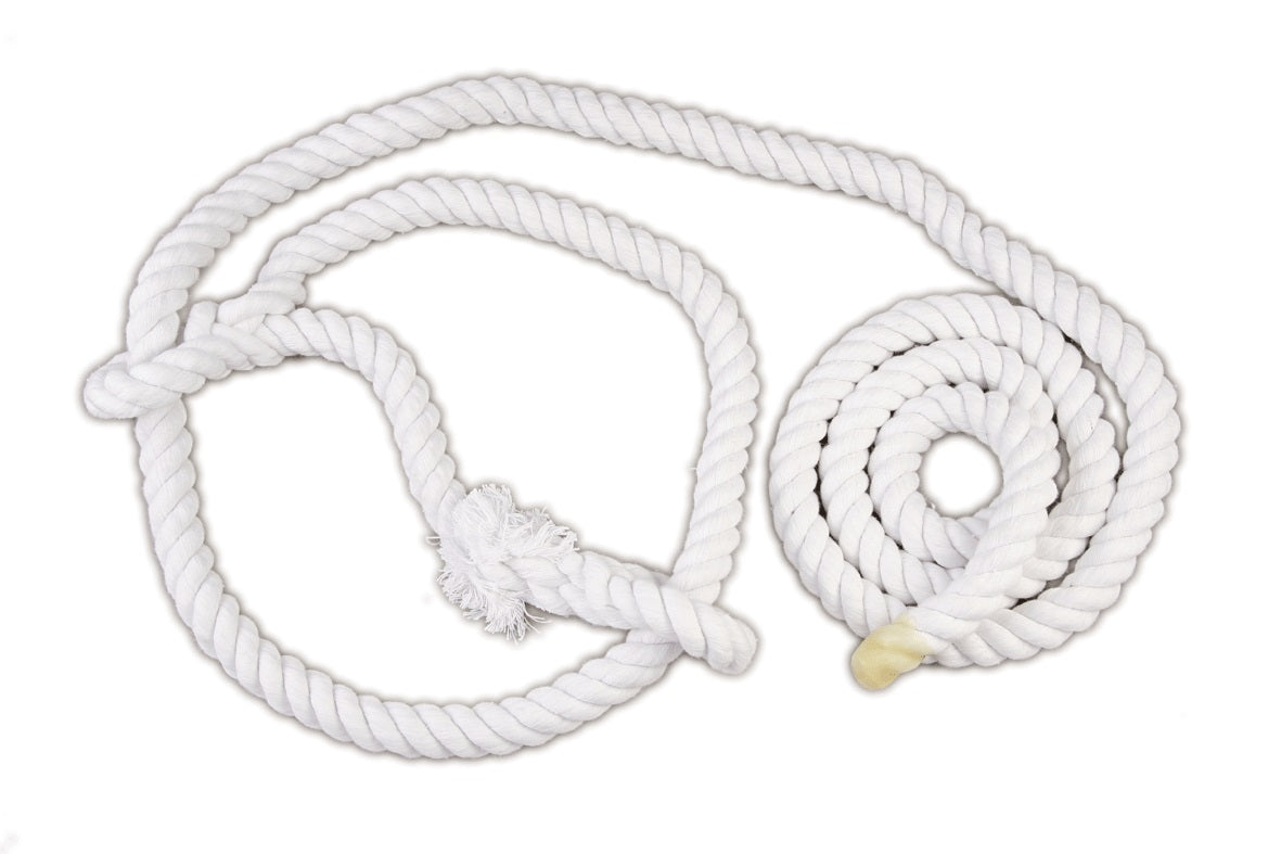 BULL SHOW HALTER