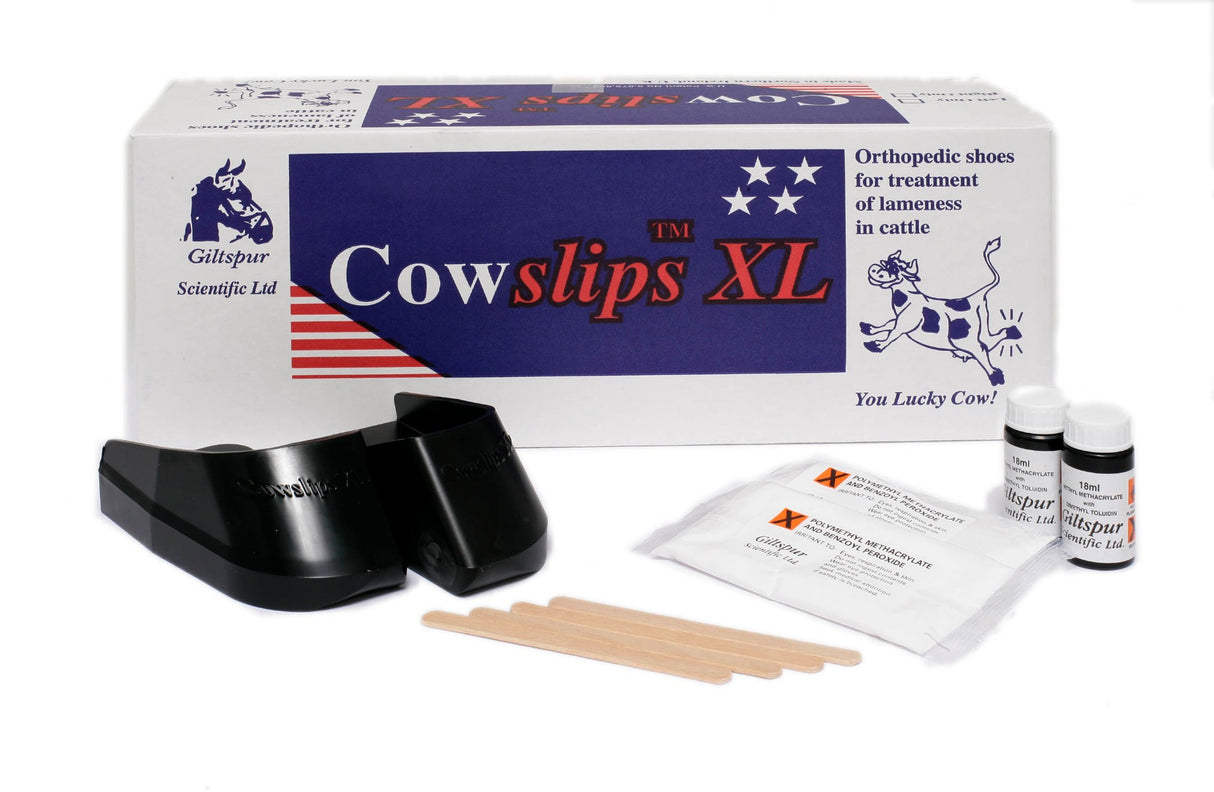 Cowslips XL Mixed