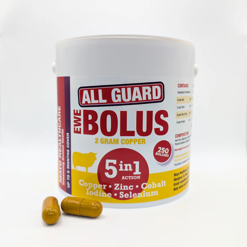All Guard Ewe 5 in 1 (2g Copper) (100 PACK)