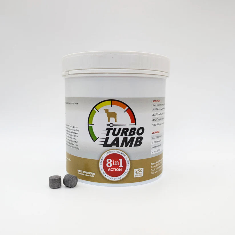 Turbo Lamb 8 in 1 (250 pack)