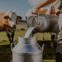item-Banner