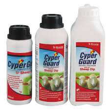 CYPER GUARD