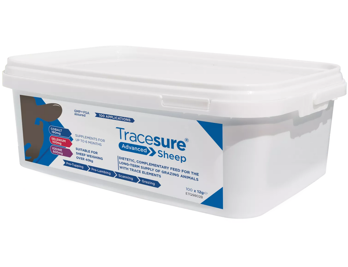 TRACESURE SHEEP ADAVANCED 100'S