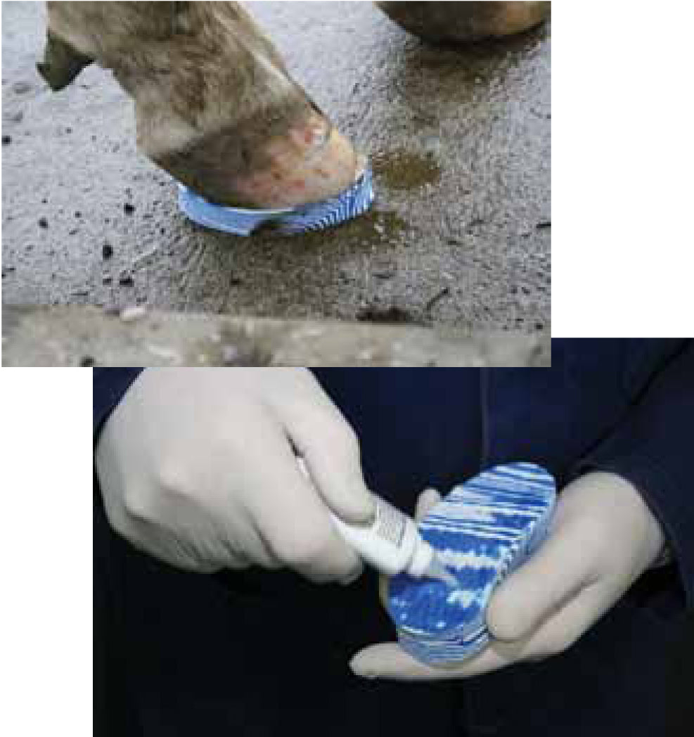 Walkease Block Shoof Mixed Starter Pack